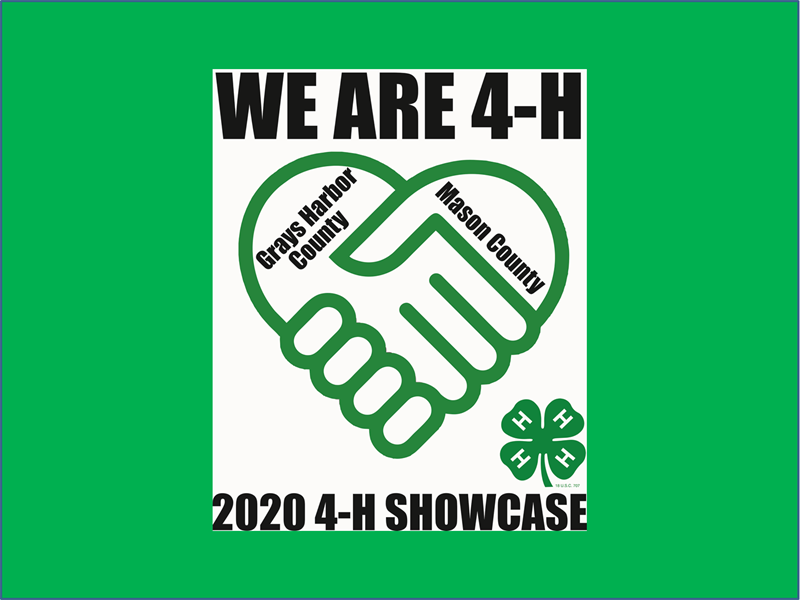 Logo for 2020 Virtual 4-H Showcase, Grays Harbor & Mason Counties
