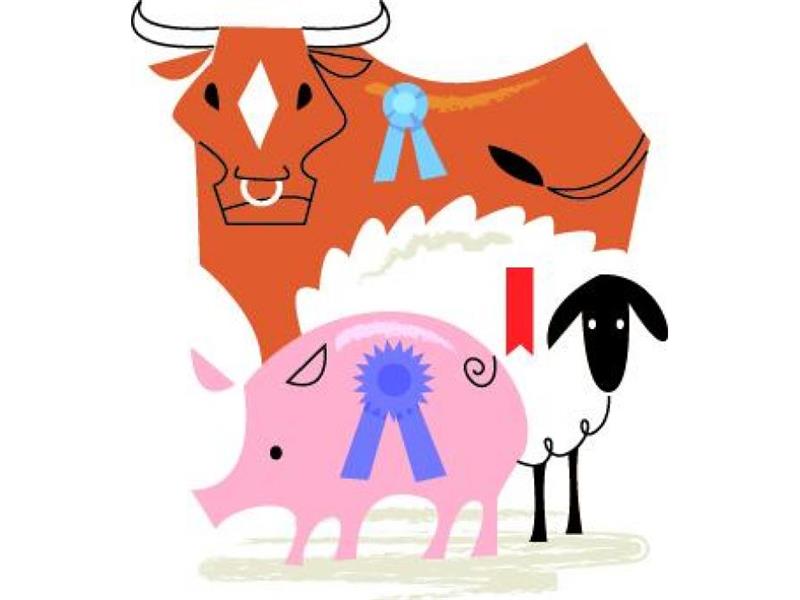 Logo for Sunshine Valley Open Livestock Show