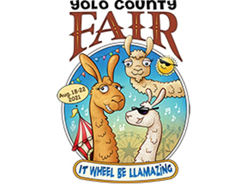 Logo for 2021 Virtual Yolo County Fair