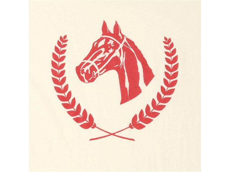 Logo for Sunshine Valley 4-H Horse Show