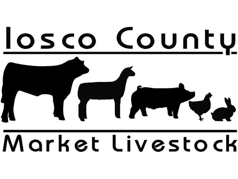 Logo for 2021 Iosco County Fair
