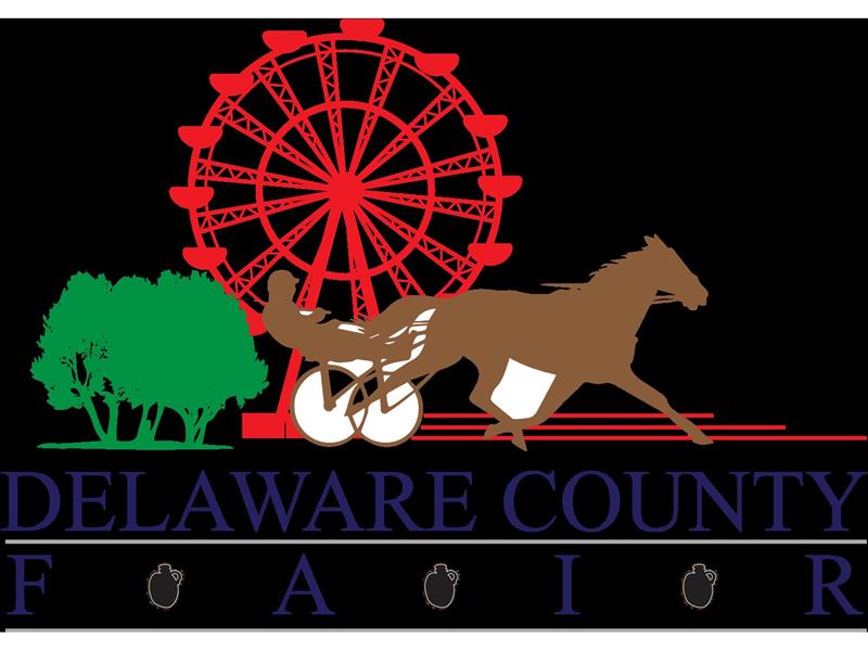 Logo for 2021 Delaware County Open Show