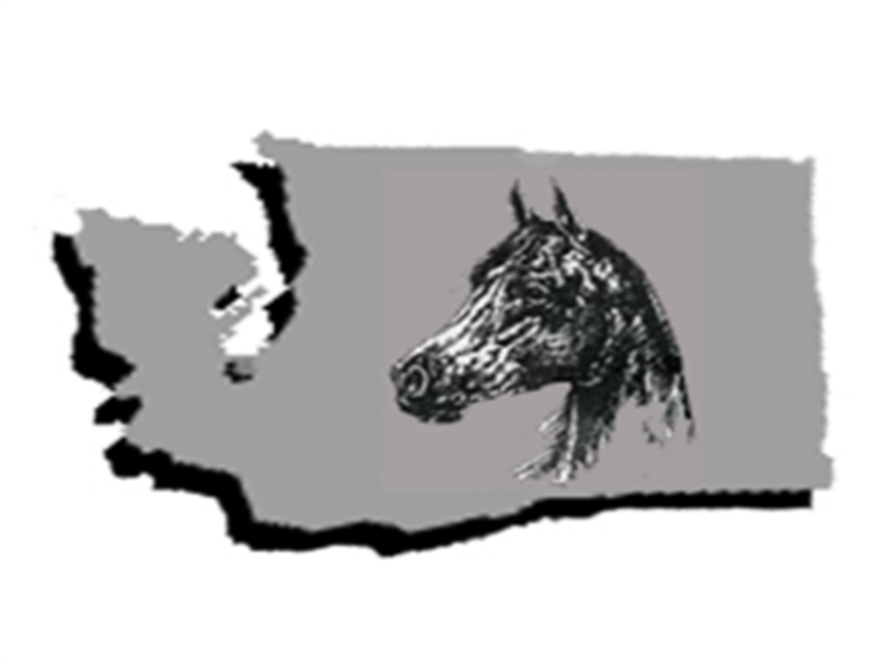 Logo for 2021 Washington State Jr Horse Show