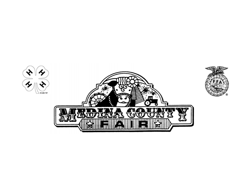 Logo for 2022 Medina County Jr. Fair