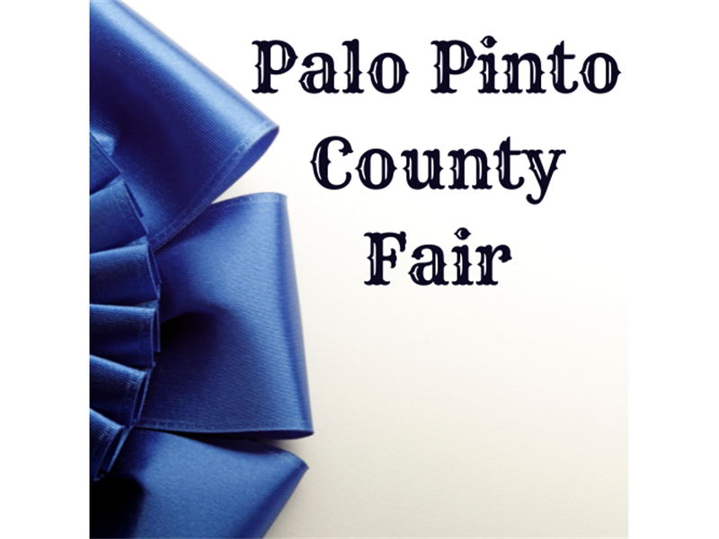 Logo for 2022 Palo Pinto County Fair