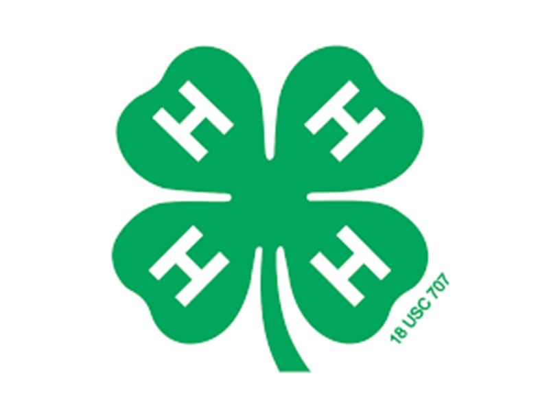 Logo for 2022 Hancock County Fair