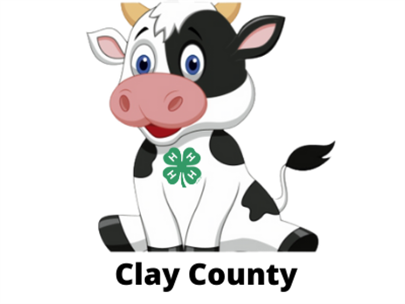 Logo for 2022 Clay County Fair
