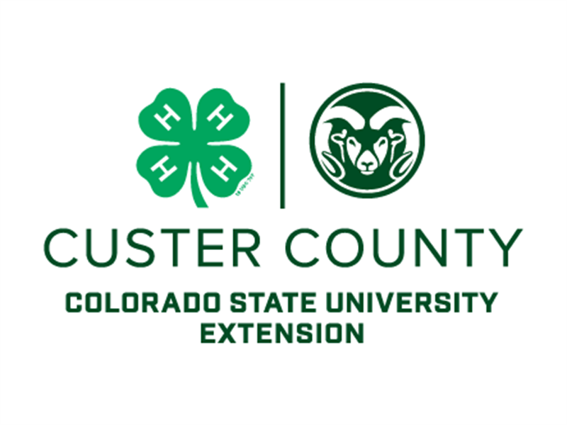 Logo for 2022 Custer County Fair