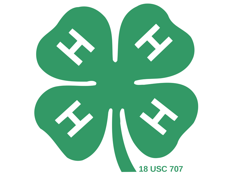 Logo for 2022 DuPage County 4-H Fair