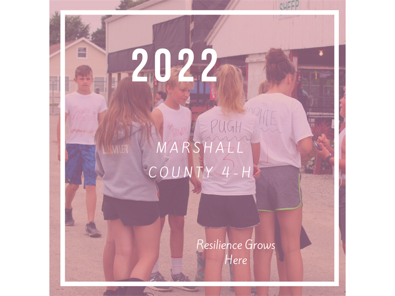 Logo for 2022 Marshall County Fair