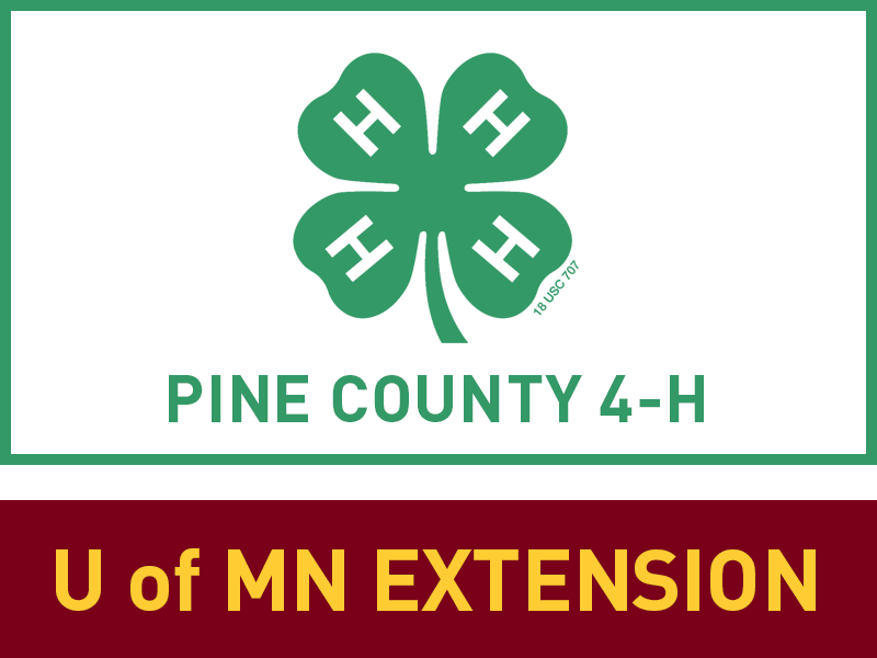 Logo for 2022 Pine County Fair