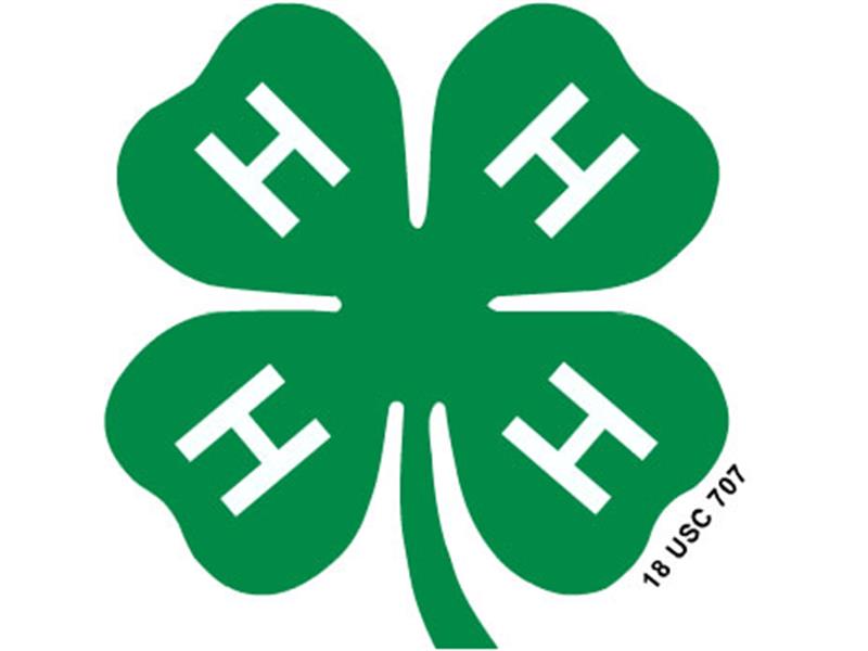 Logo for 2022 Switzerland County 4-H Fair