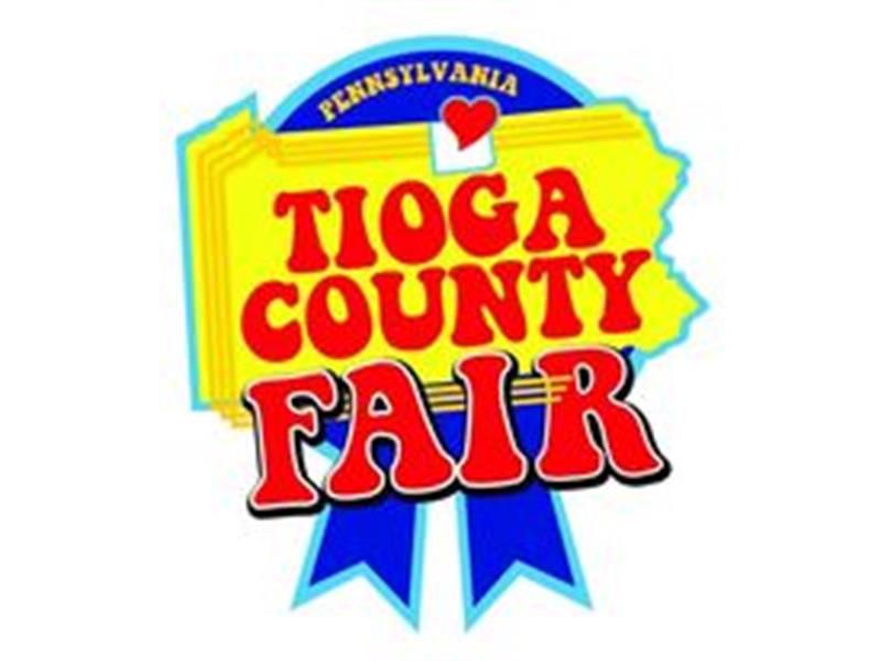 Logo for 2022 Tioga County Fair