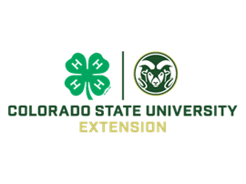Logo for 2022 Colorado 4-H State Fair