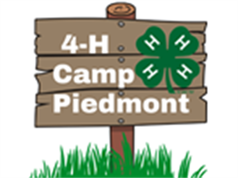 Logo for 2022 Piedmont Benefit