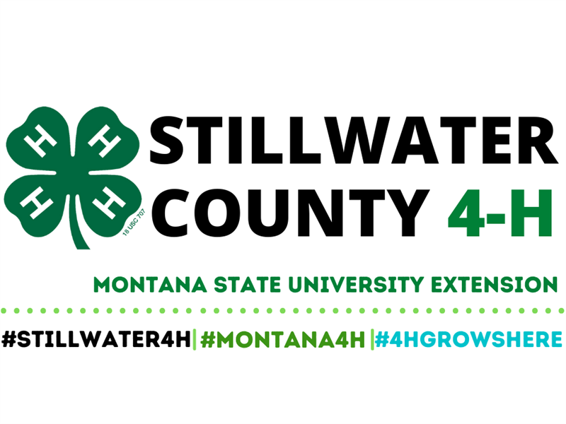 Logo for 2022 Stillwater County Fair