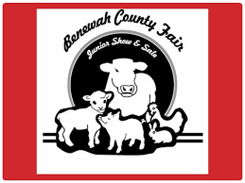 Logo for 2022 Benewah County Junior Show