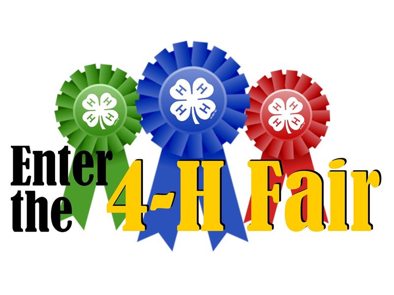 Logo for 2022 Fairfax County 4-H Fair