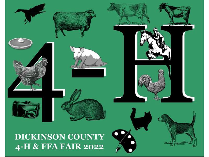 Logo for 2022 Dickinson County Fair