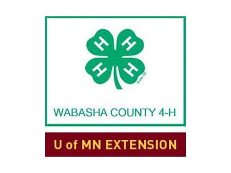 Logo for 2022 Wabasha County Fair