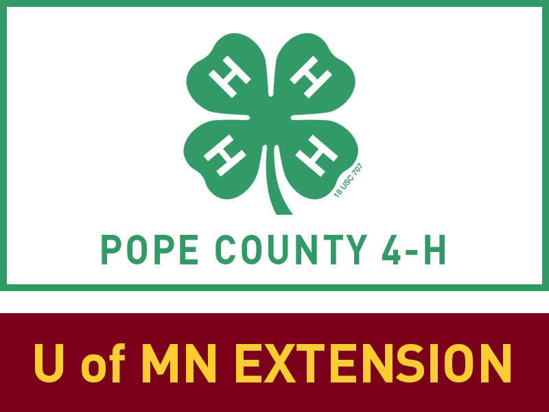 Logo for 2022 Pope County Fair