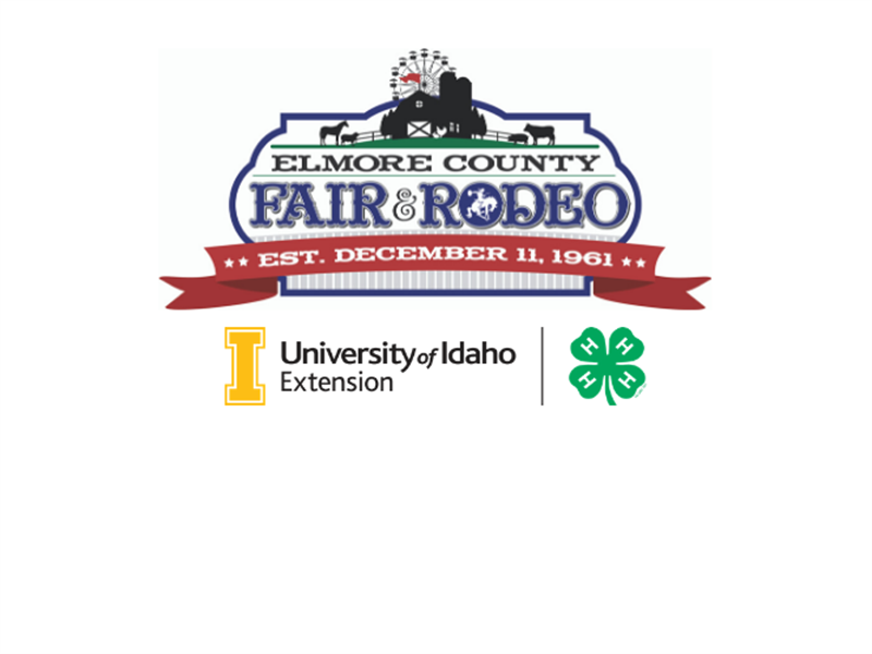Logo for 2022 Elmore County Fair