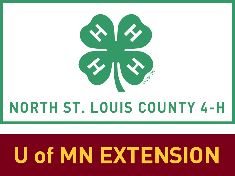 Logo for 2022 St. Louis County Fair