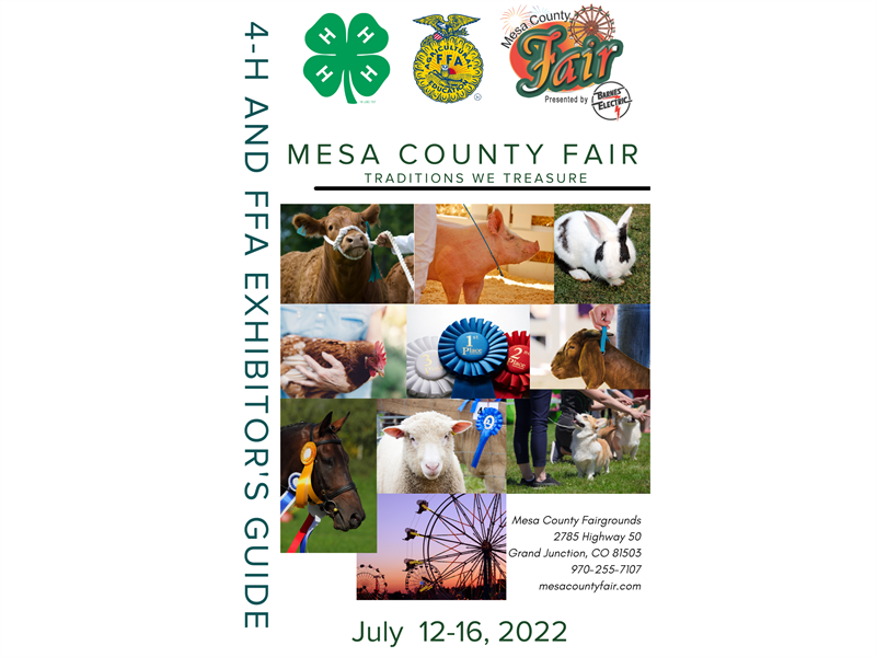 Logo for 2022 Mesa County Fair