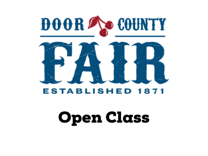 Logo for 2022 Door County Fair (Open Class)
