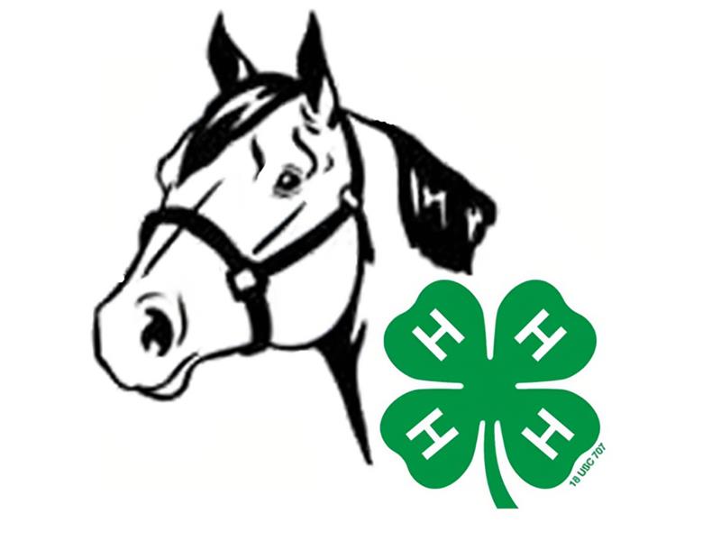 Logo for 2022 Jerauld/Buffalo Horse Show