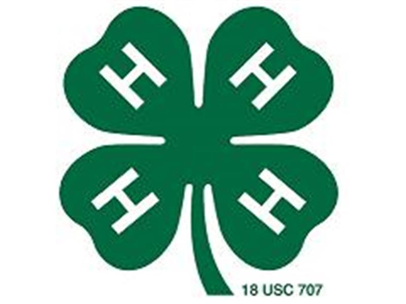 Logo for 2022 Sully County 4-H Achievement Days & Fair