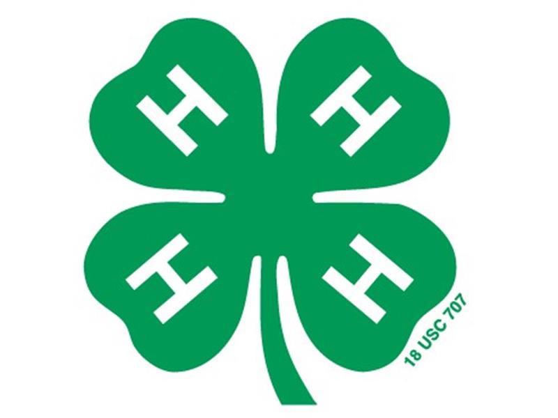 Logo for 2022 Turner County 4-H Horse Show