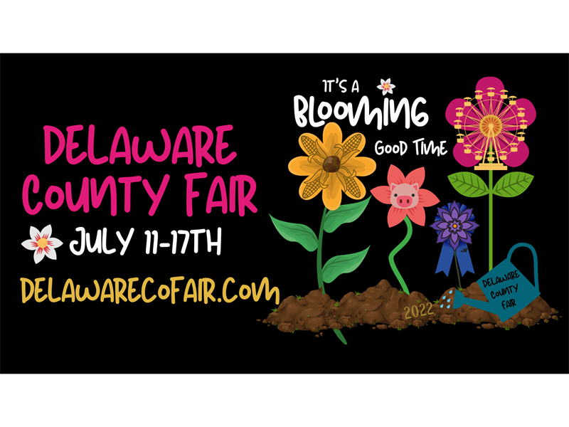 Logo for 2022 Delaware County Fair