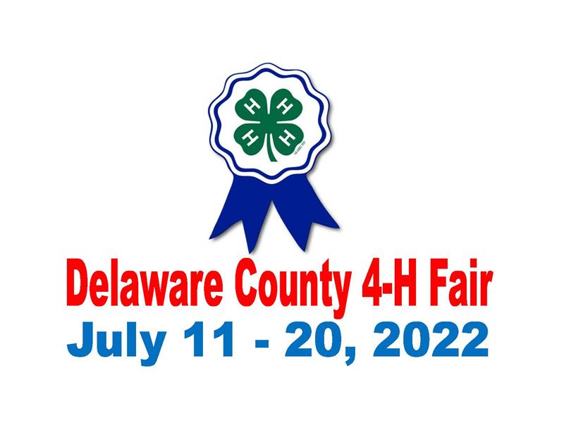 Logo for 2022 Delaware County 4-H Fair