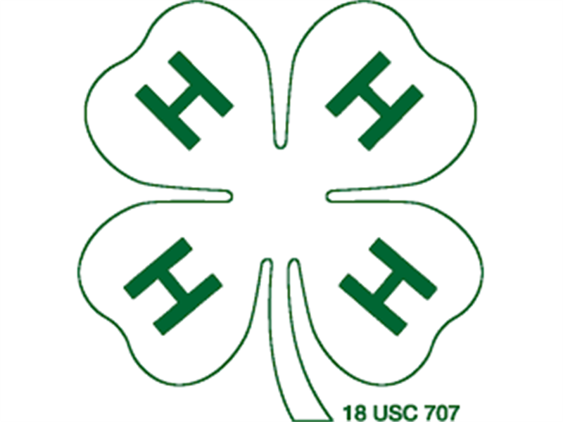 Logo for 2022 Tripp Co Horse Show