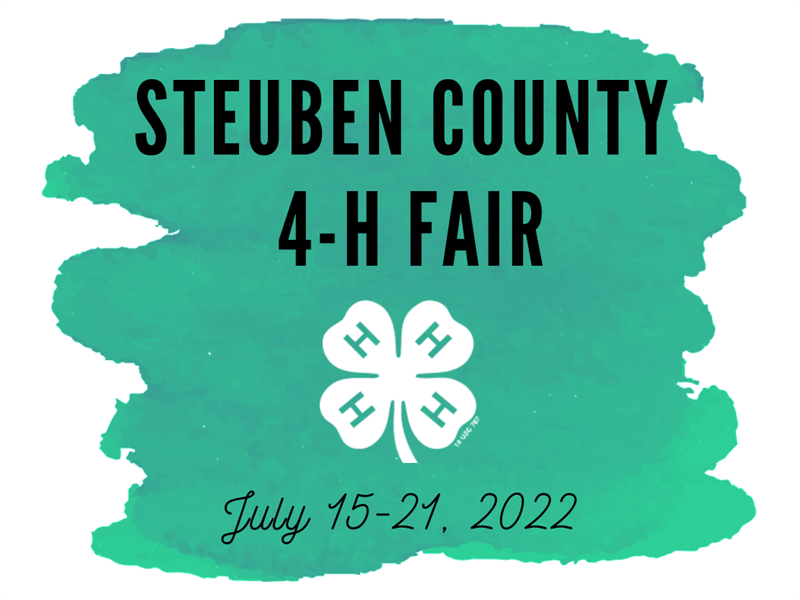 Logo for 2022 Steuben County 4-H Fair