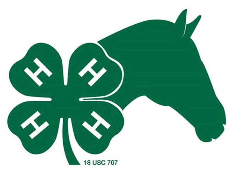 Logo for 2022 McCook County Horse Show