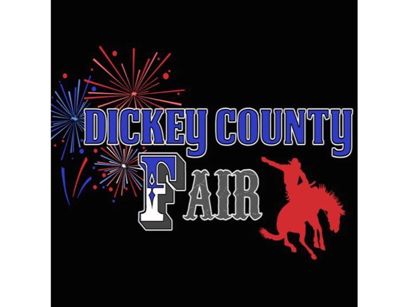 Logo for 2022 Dickey County Fair