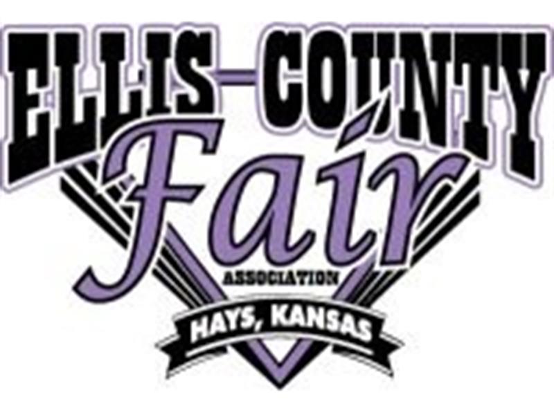 Logo for 2022 Ellis County Fair