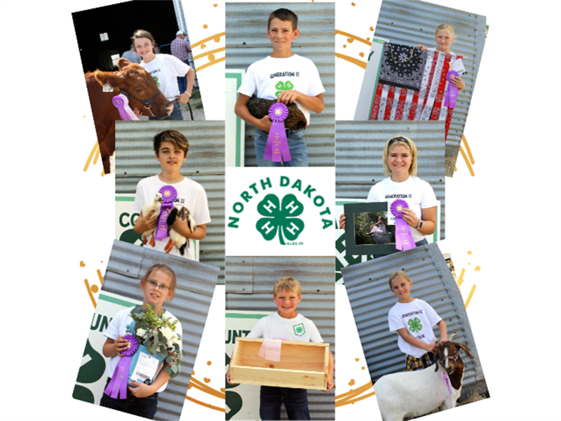 Logo for 2022 Traill County 4-H Achievement Day