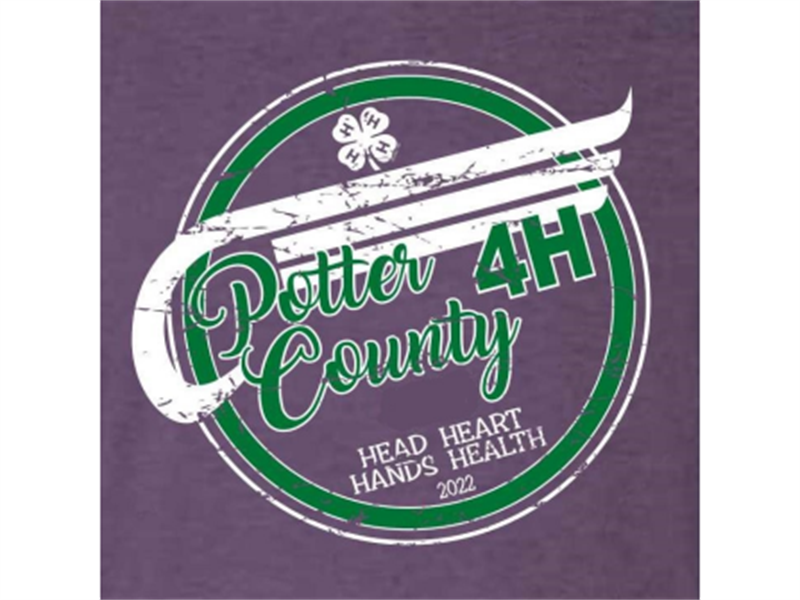 Logo for 2022 Potter County Fair