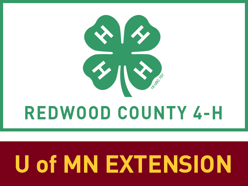 Logo for 2022 Redwood County Fair