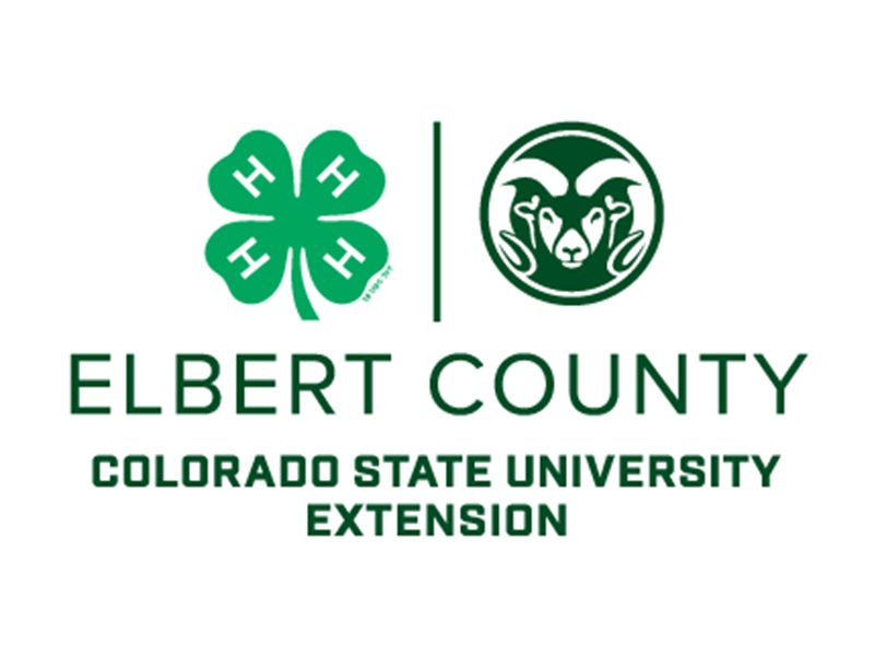 Logo for 2022 Elbert County Fair