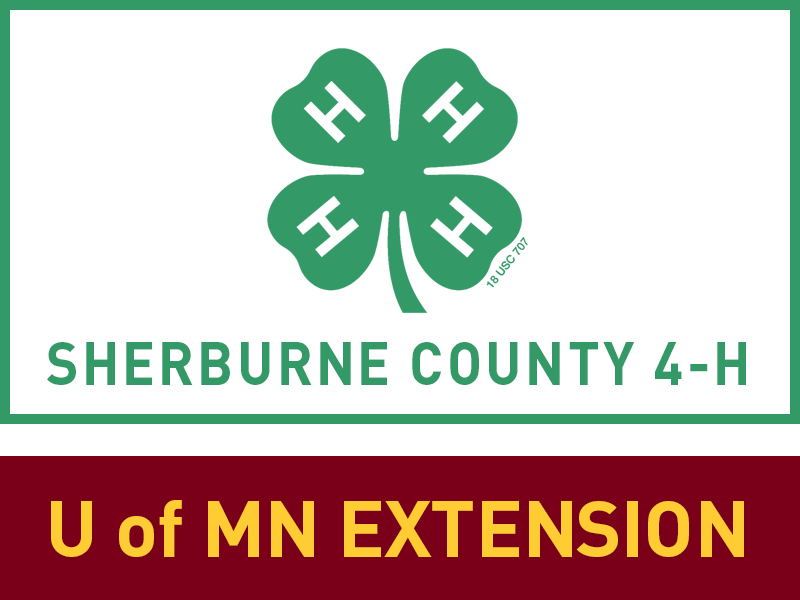 Logo for 2022 Sherburne County Fair
