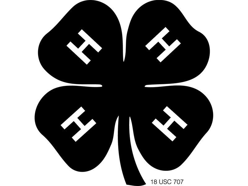 Logo for 2022 Brown County 4-H Horse Show