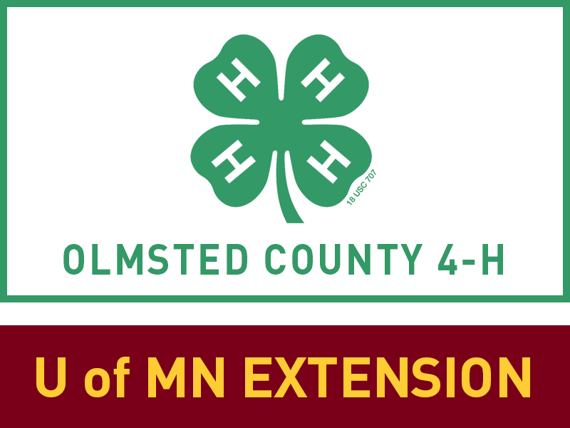 Logo for 2022 Olmsted County Fair
