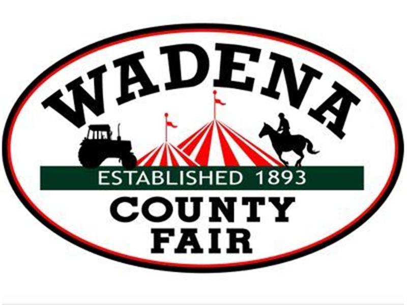 Logo for 2022 Wadena County Fair Open Class