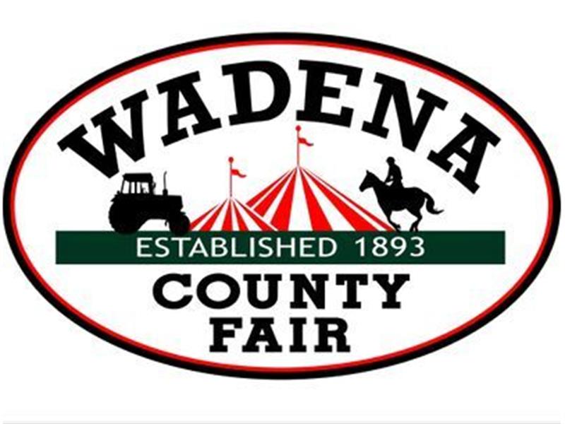 Results 2022 Wadena County Fair Open Class