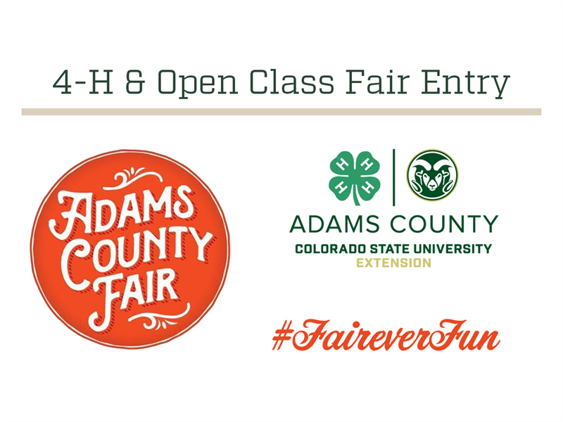 Logo for 2022 Adams County Fair