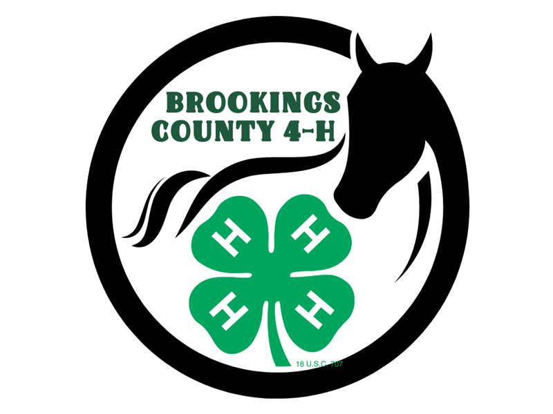 Logo for 2022 Brookings County Horse Show